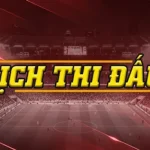 Bùng Nổ Đêm 21/2: Juventus, Bayern, Chelsea Cùng Ra Quân - Lịch Thi Đấu & Nhận Định Nóng 1