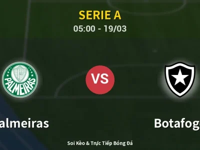 Kết Quả: Palmeiras 2-1 Botafogo – Highlight & Bàn Thắng | Serie A