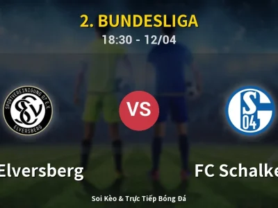 🔴 Trực Tiếp: SV Elversberg 1-1 FC Schalke 04 – Link Xem 2. Bundesliga (Full HD)
