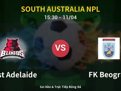 Soi Kèo West Adelaide vs FK Beograd – 15:30 11/04 | Nhận Định, Dự Đoán Tỷ Số