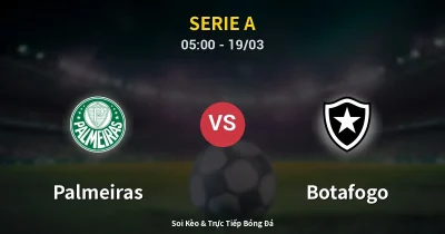Palmeiras vs Botafogo 19/03